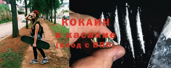 прущая мука Богородицк